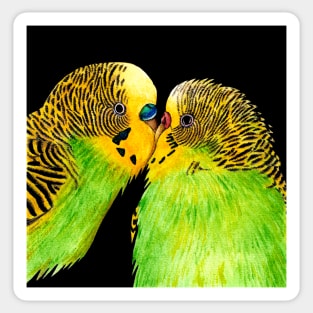 Budgie love Sticker